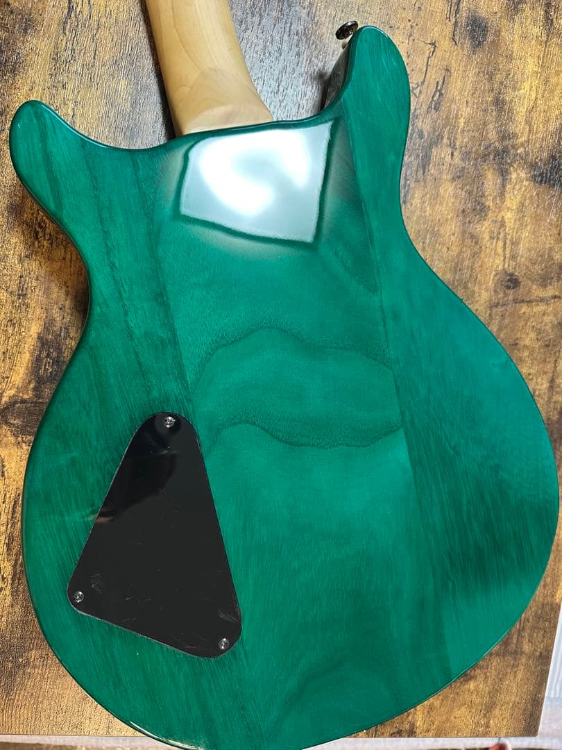 Daisy Rock エレキギター　ソフトケース付