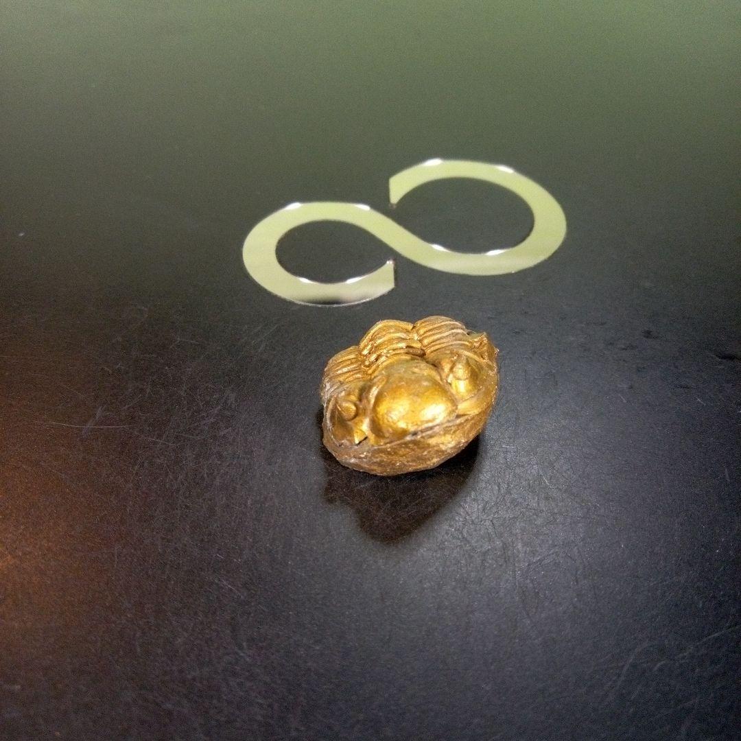 三葉虫 化石 fossil ボリビア産 trilobite 南アメリカ化石郡① - メルカリ