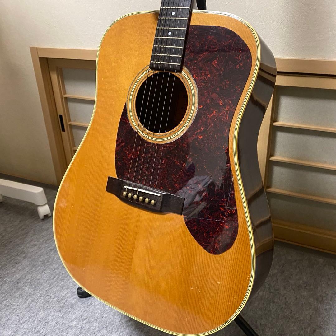 よっこ様専用】アコースティックギター レスターフラットピックガード