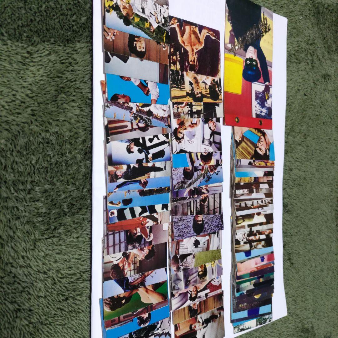 山勝　ブルース·リーカード80枚 山勝 ブルース·リーカード80枚 【公式通販】