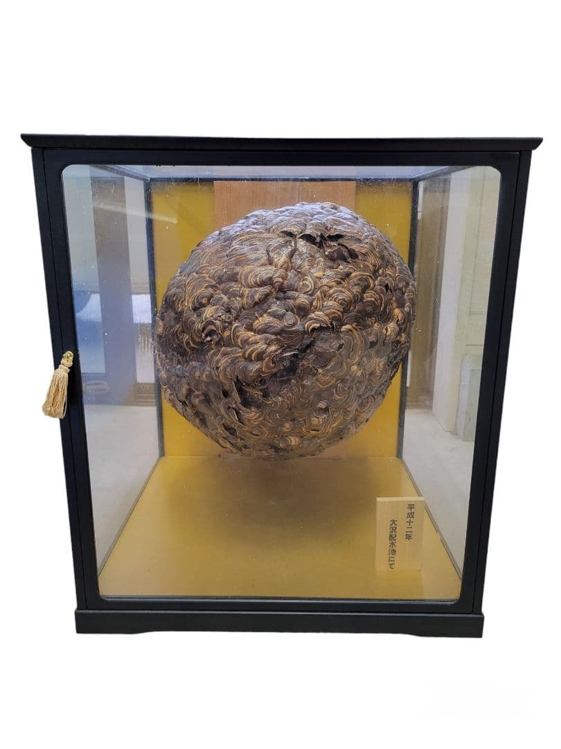 置物 スズメバチの巣 縁起物 - メルカリ