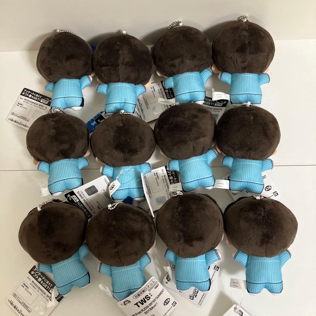 SHINYU シニュ TWS ちびぐるみ vol.1 12個 ナムコ限定 202 - メルカリ