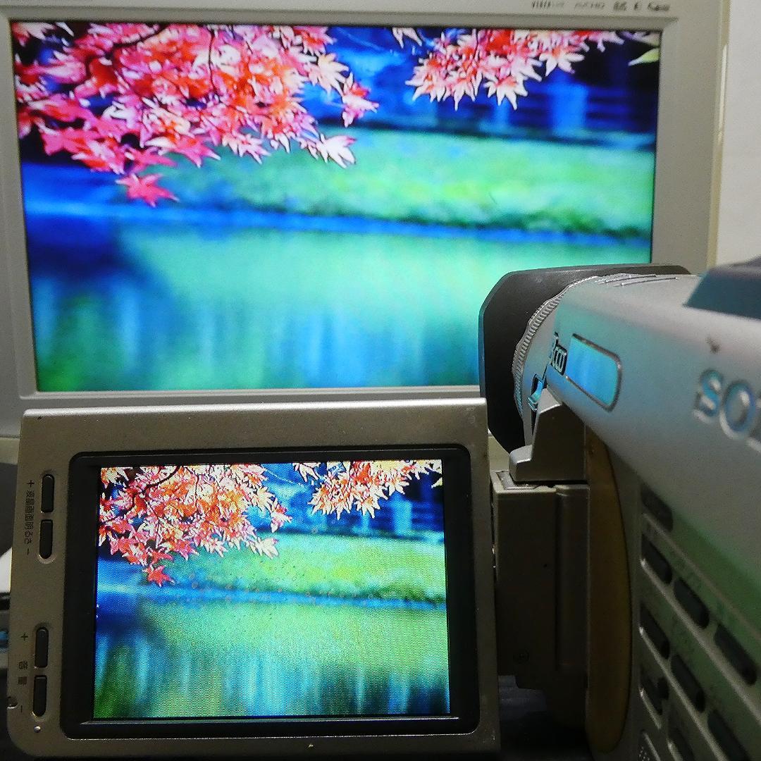 動作良好 ソニー DCR-TRV900 MiniDV ビデオカメラ DVD化に