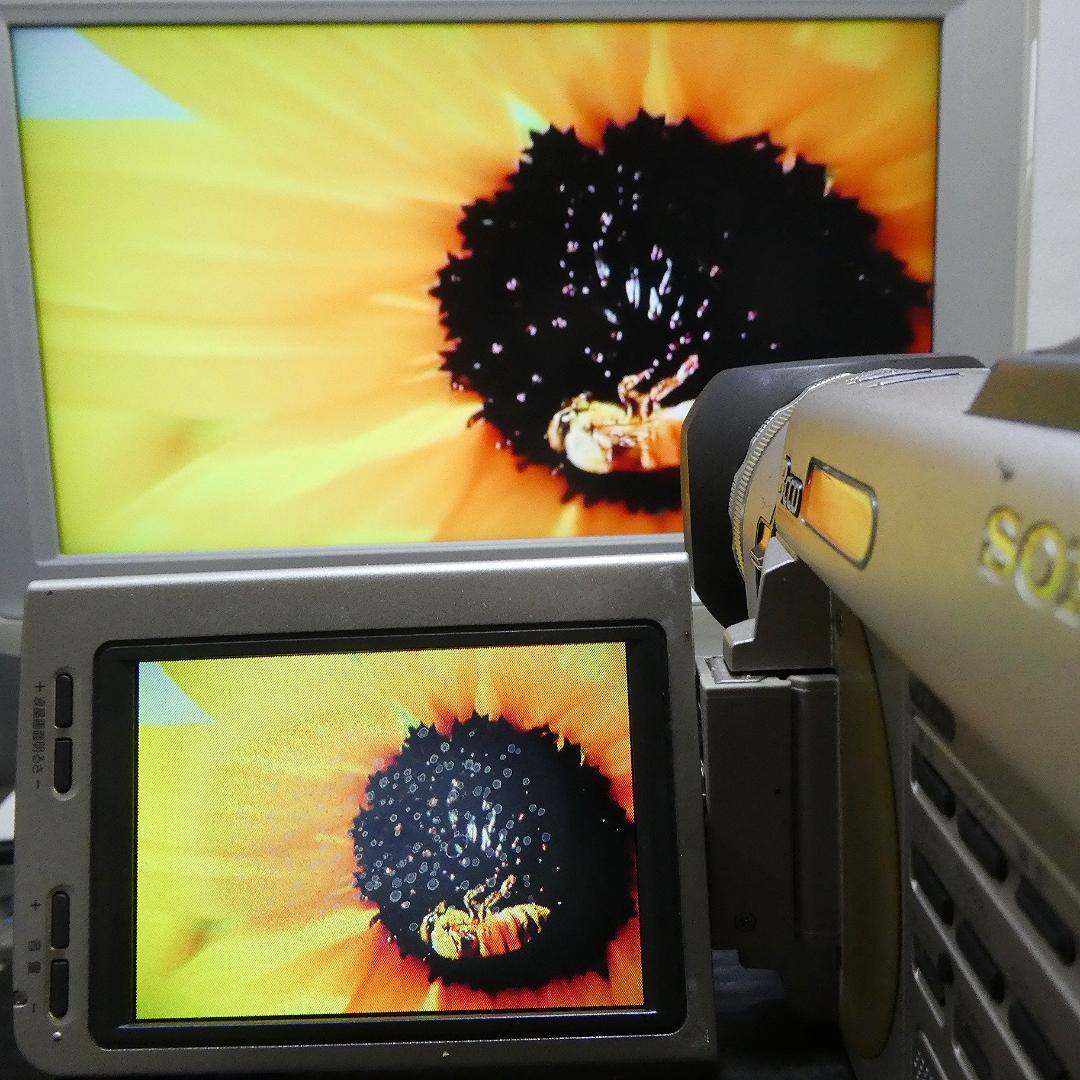 動作良好 ソニー DCR-TRV900 MiniDV ビデオカメラ DVD化に