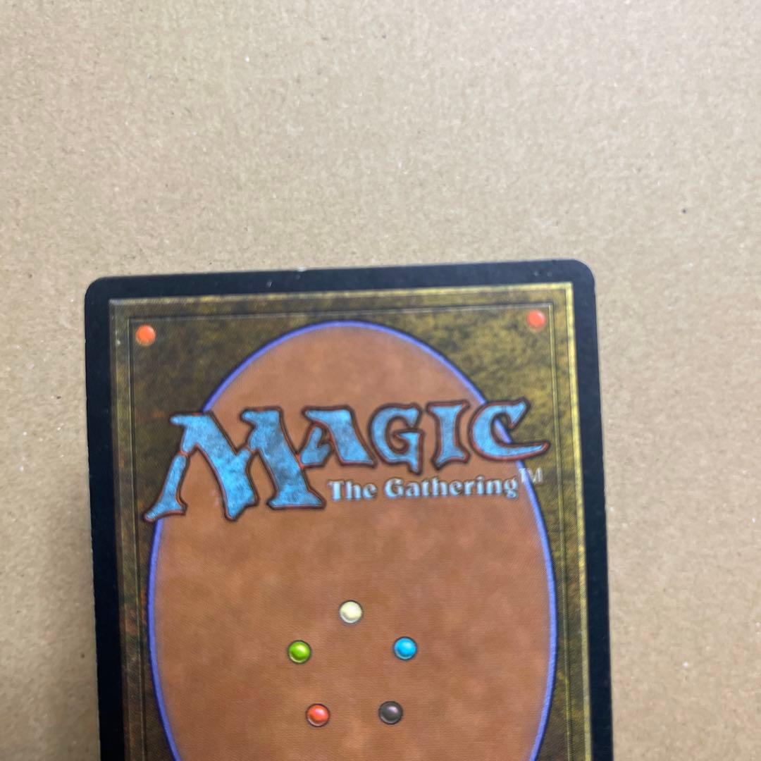 マジックザギャザリング 大地の知識(日本語) 2枚セット 大地の知識