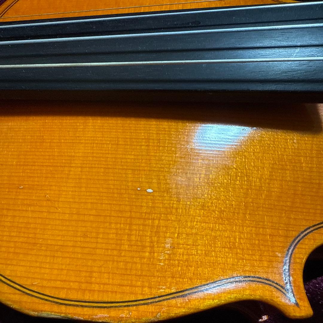 【更にお値下げ中】ピグマリウス バイオリン ST01 1/2 分数バイオリン