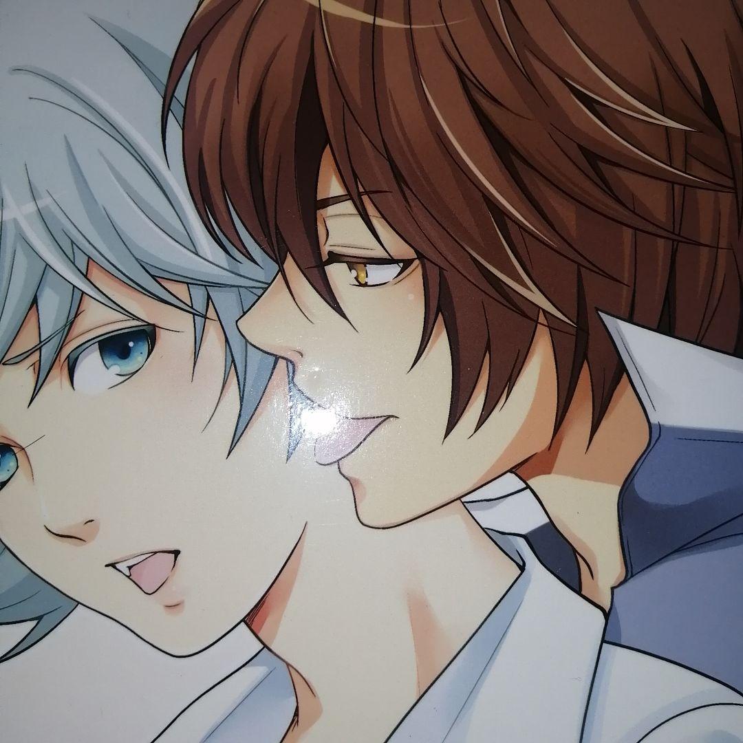 神様はじめました ドキドキあやかしLOVE 限定設定資料集