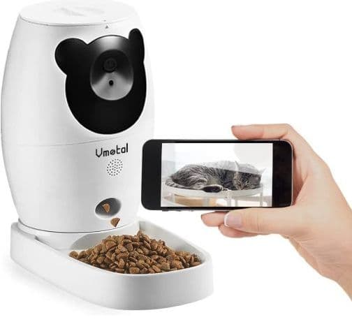 牛骨】Fender☆SONORAN！アコギ！【弾き易く調整☆新品の弦】 オンライン