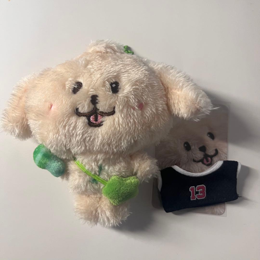 公式】nct wish ぬいぐるみ ジェヒ デントリバー - メルカリ