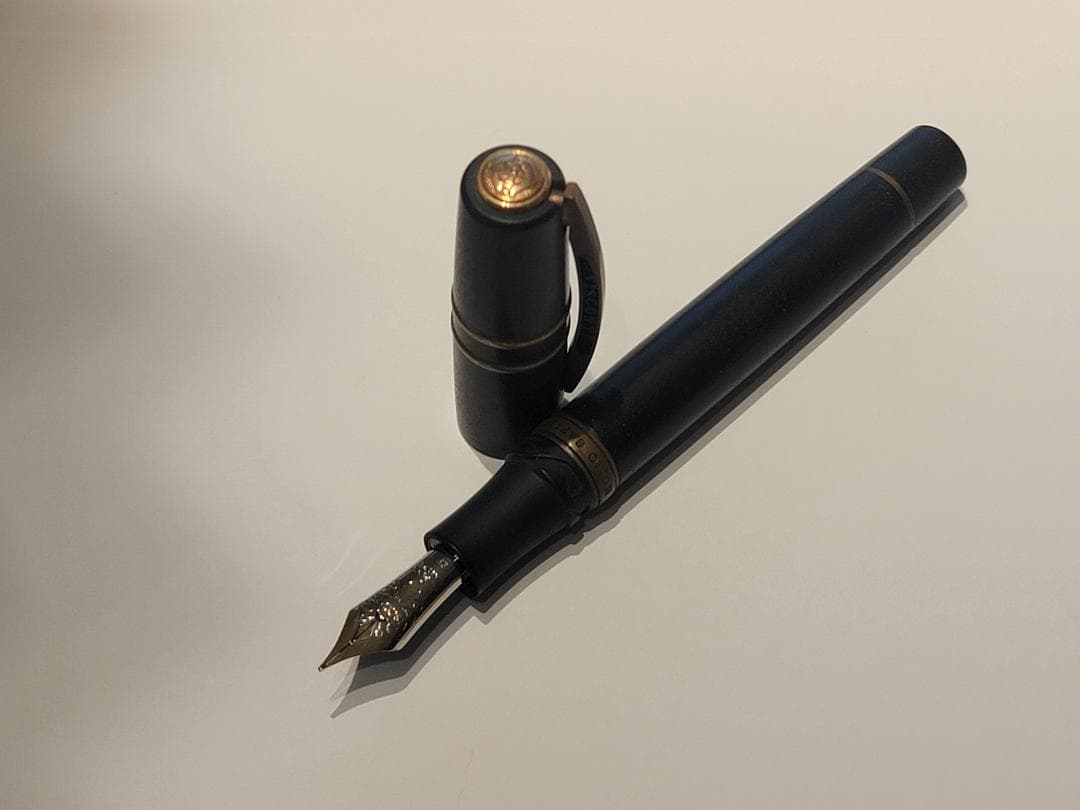VISCONTI Homo Sapiens Bronze 万年筆 EF