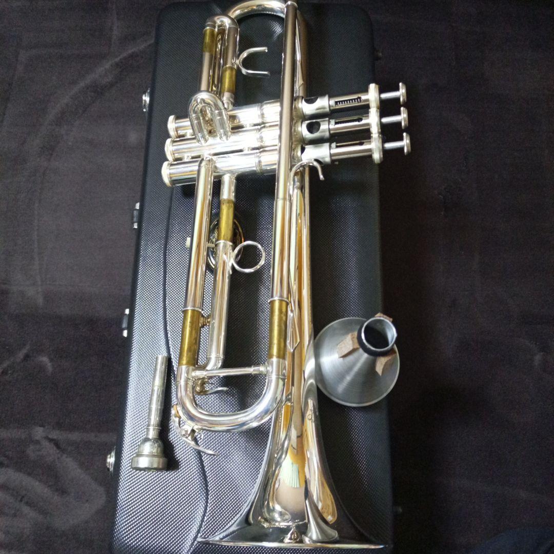 ブランド 品 通販ホビー・楽器・アート - J.マイケル TR-300S