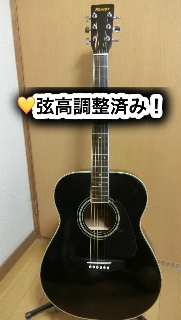 Morris モーリス MF-306 cs アコースティックギター