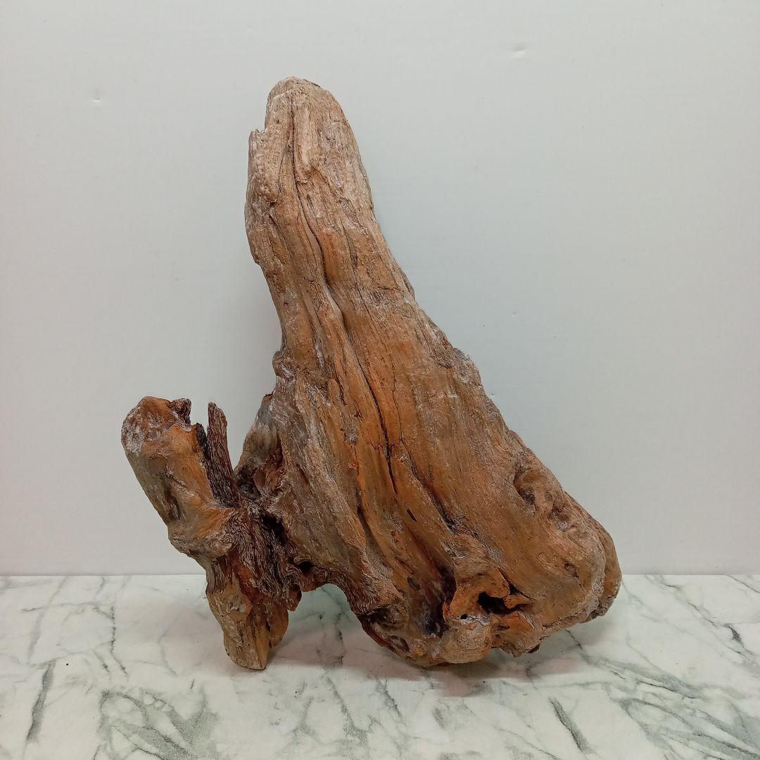 アク抜き済み流木【733】