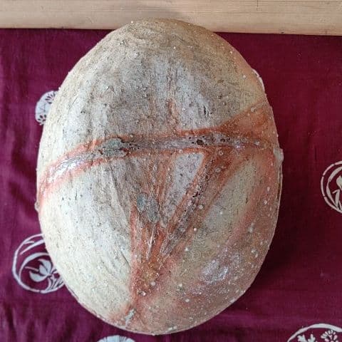 変わった、フタ物