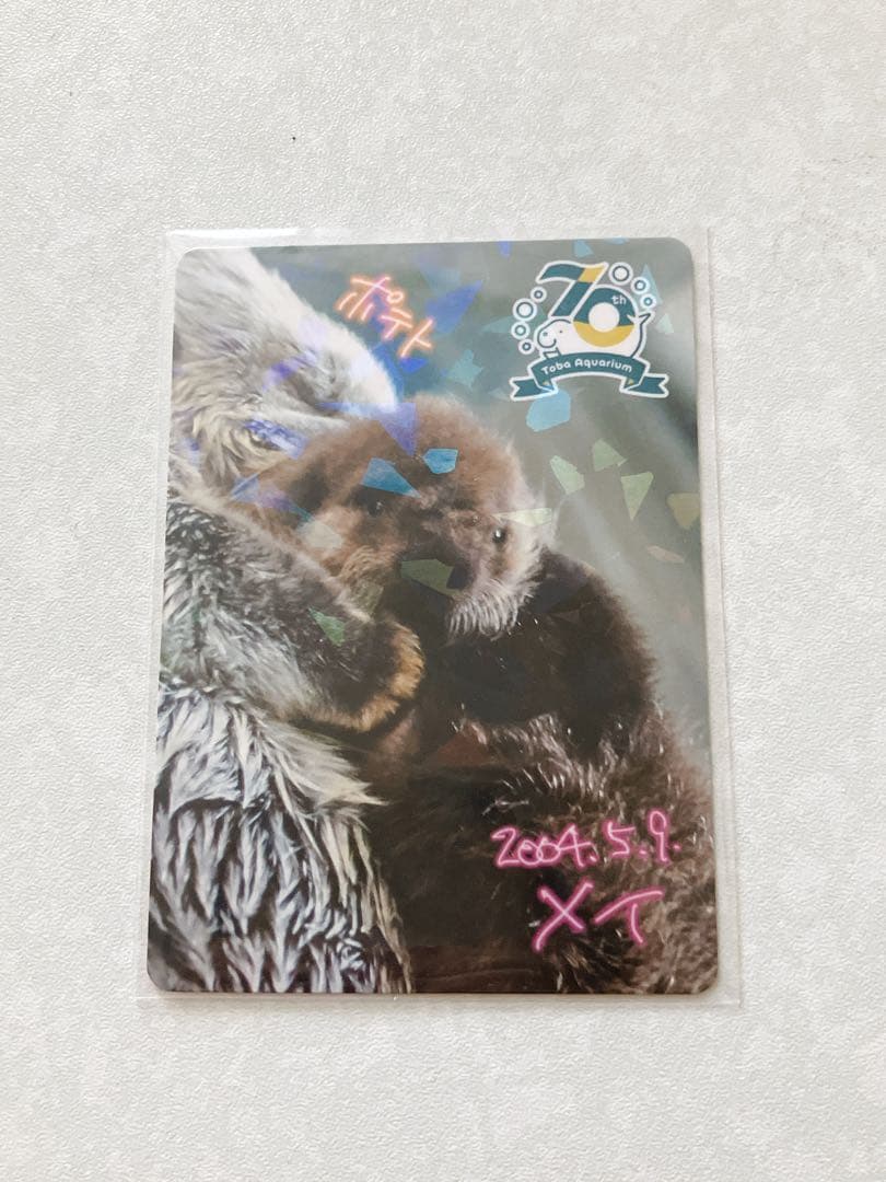 70周年記念 鳥羽水族館 コレクションカード メイちゃん ポテト レア ラッコ
