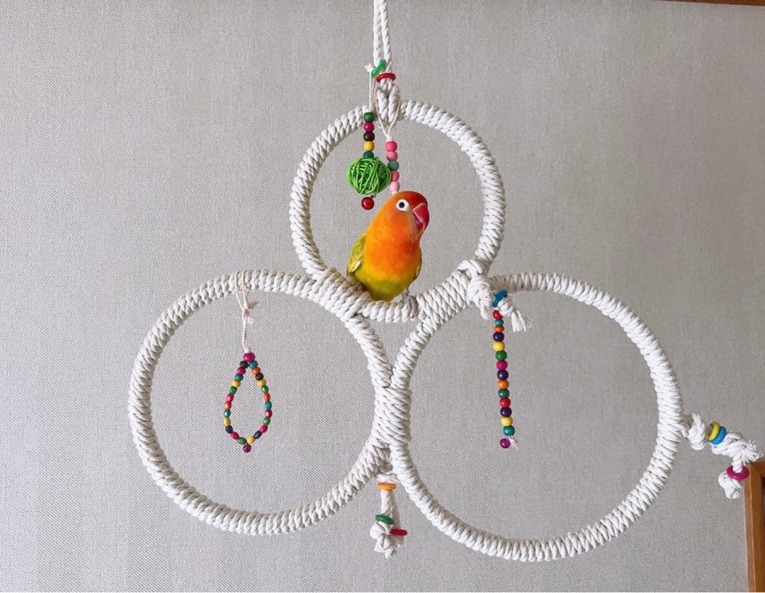 どこに止まろかな？ブランコ♪おもちゃ付