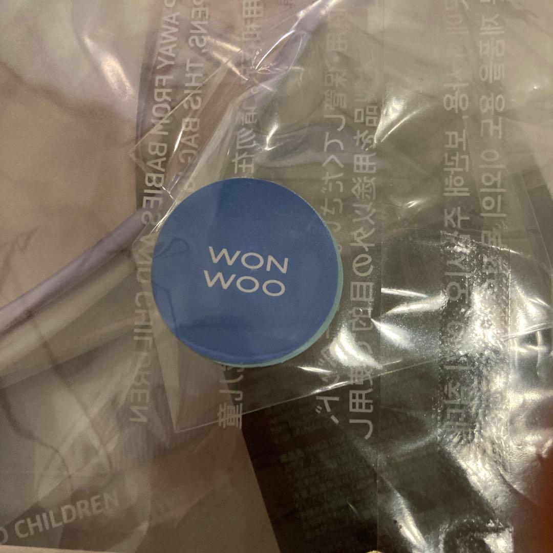 SEVENTEEN ウォヌ うちわ 9枚セット