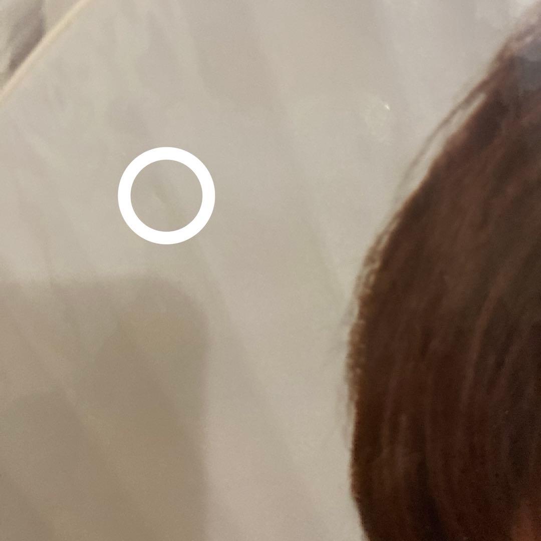 SEVENTEEN ウォヌ うちわ 9枚セット