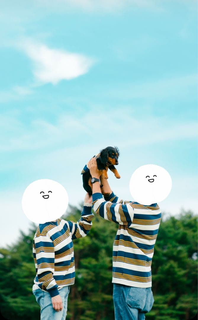 ドッグデプト　DOG DEPT ランダムボーダー　3枚セット　お揃いコーデ 22awcheckprint640.jpg