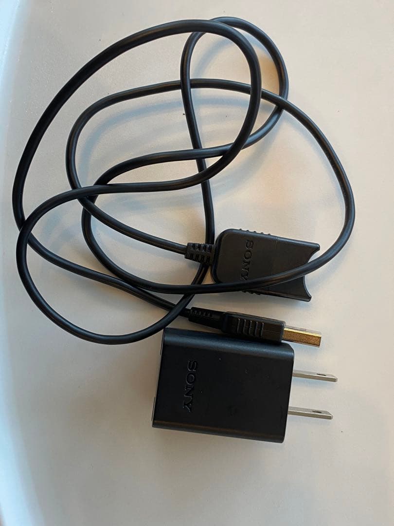 〈最終値下げ〉SONY HANDYCAM HDR-CX480 白