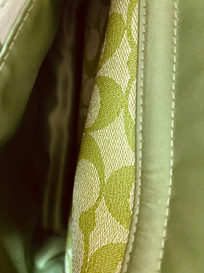 Coach ライトグリーン　ストライプ ハンドバッグ