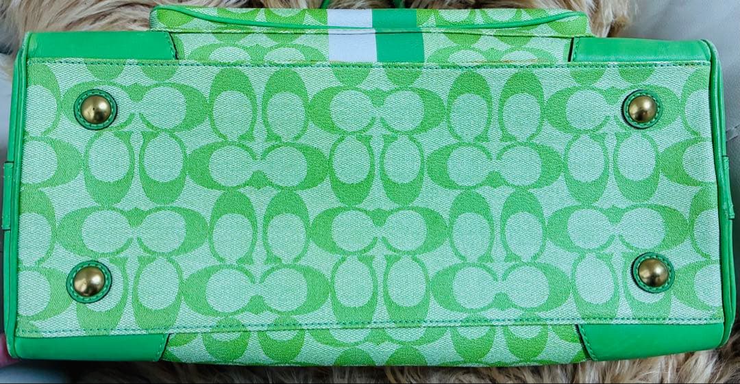 Coach ライトグリーン　ストライプ ハンドバッグ