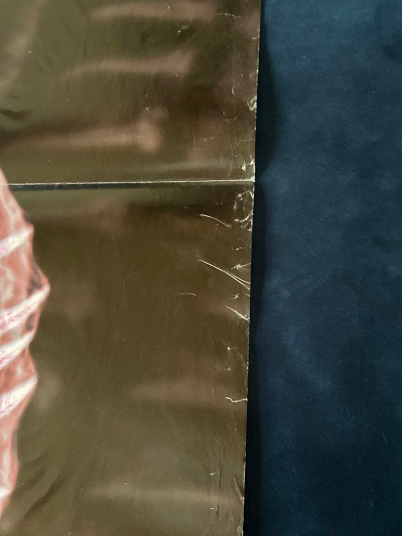 スピーシーズ　USオリジナル映画ポスター