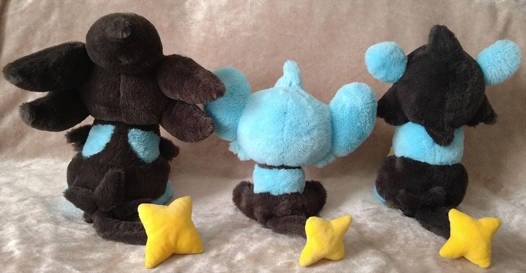 MY RENTORAR'S STORY コリンク ルクシオ レントラー