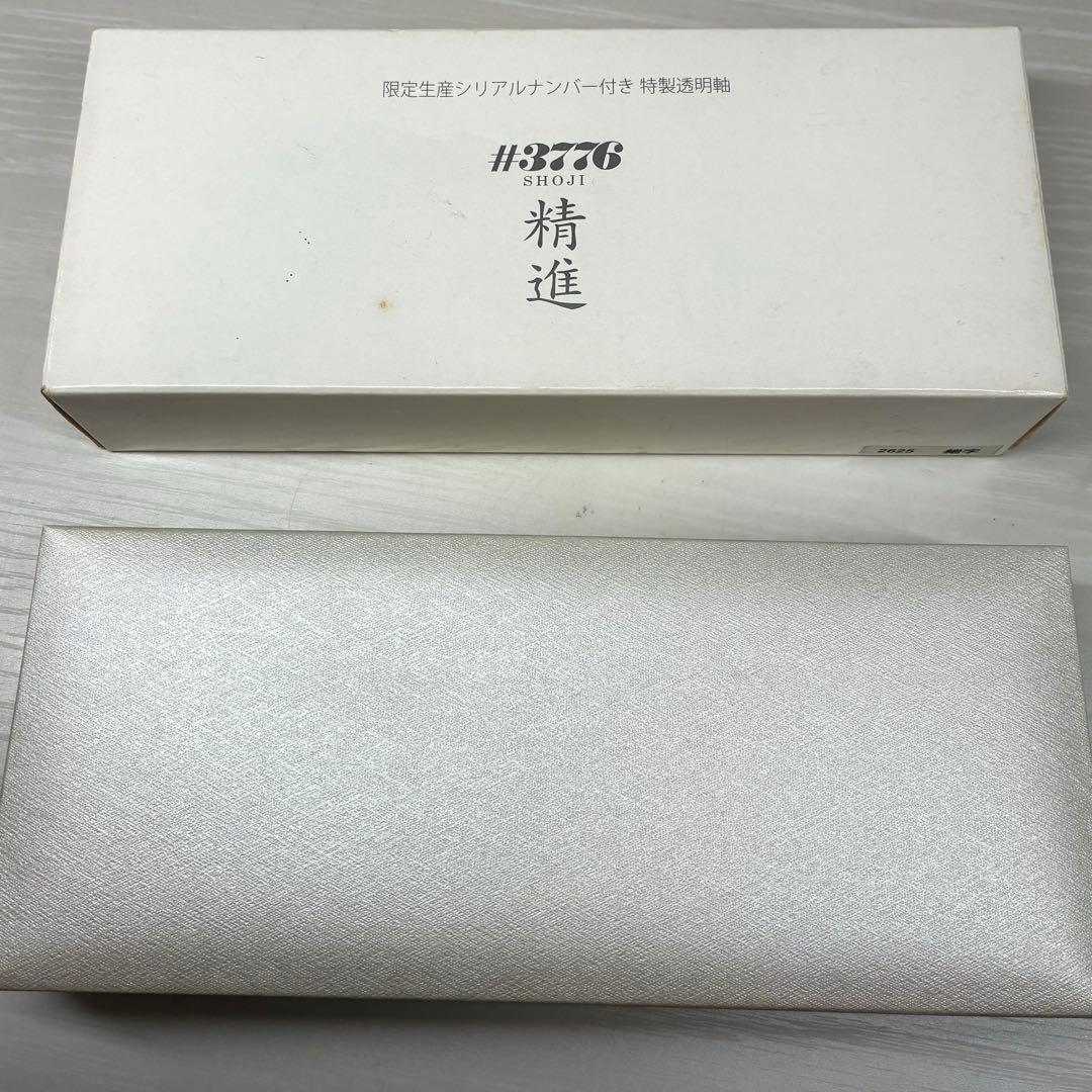 プラチナ 万年筆 ＃3776 センチュリー 精進 中字