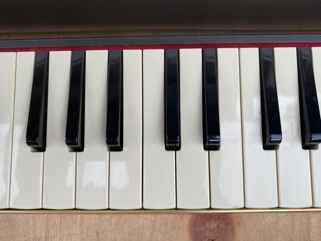 suzuki pro-37 専用ケース付き ピアニカ 中古品