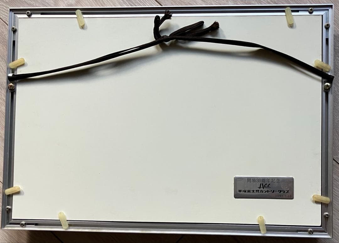 ⭐️美品⭐️七宝焼　富士山　シルバーフレーム 約39x27cm