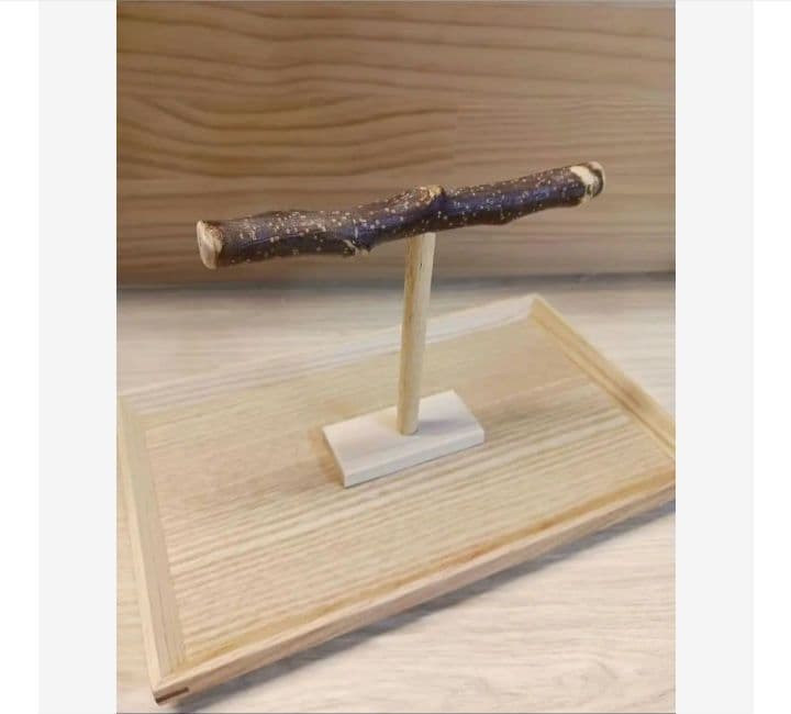 7 止まり木 Tパーチ ☆ スタンド バードトイ