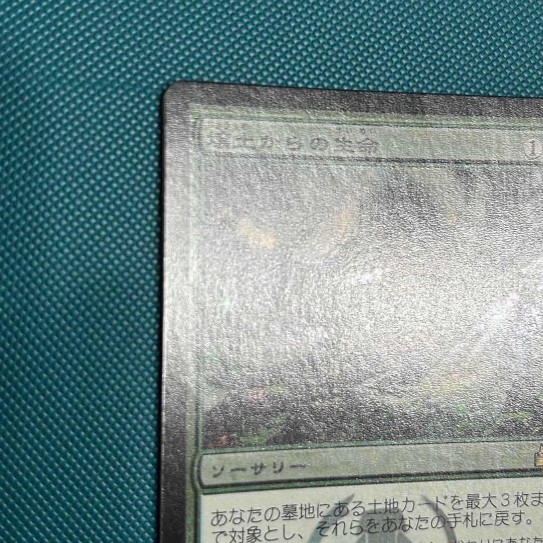 日本語Foil《壌土からの生命/Life from the Loam》RAV初版