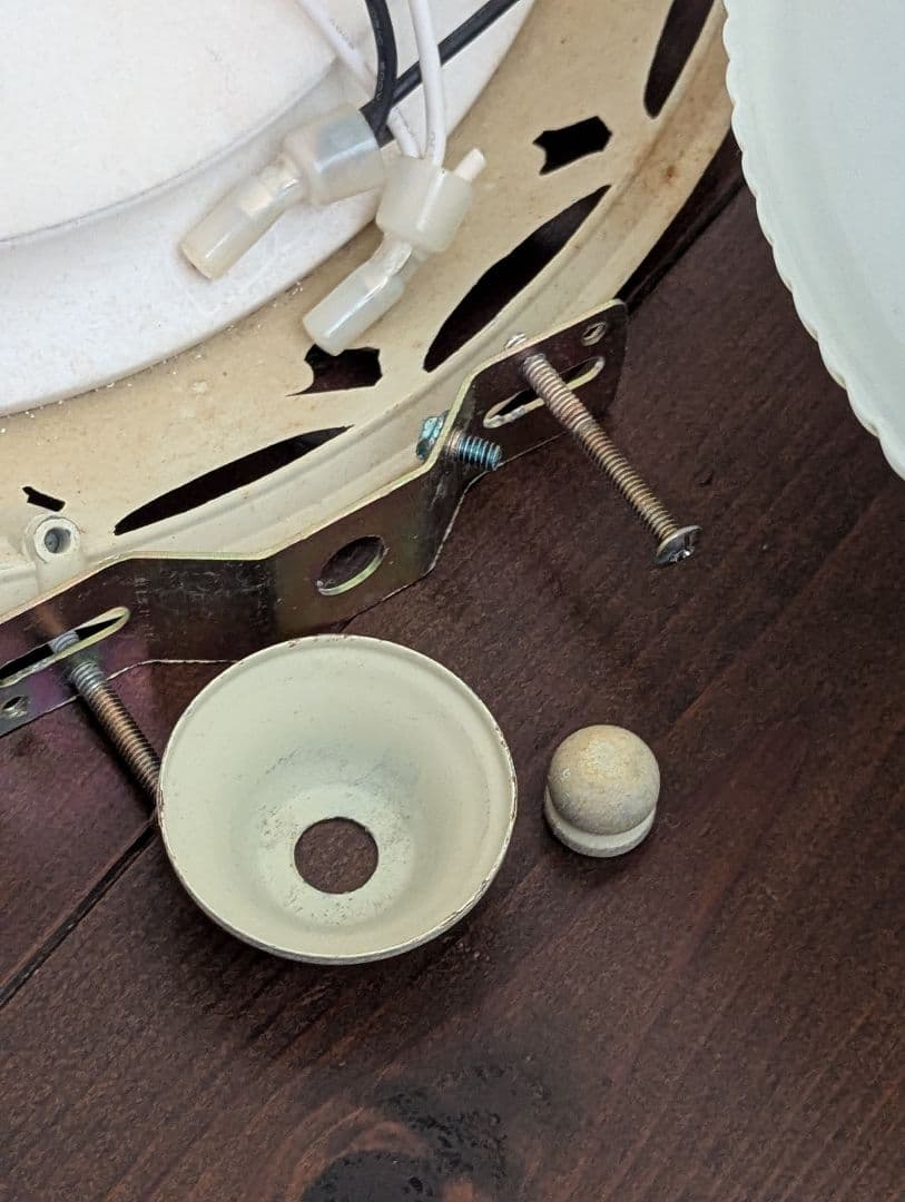 フランス ヴィンテージ 形 レリーフガラス シーリングライト 照明