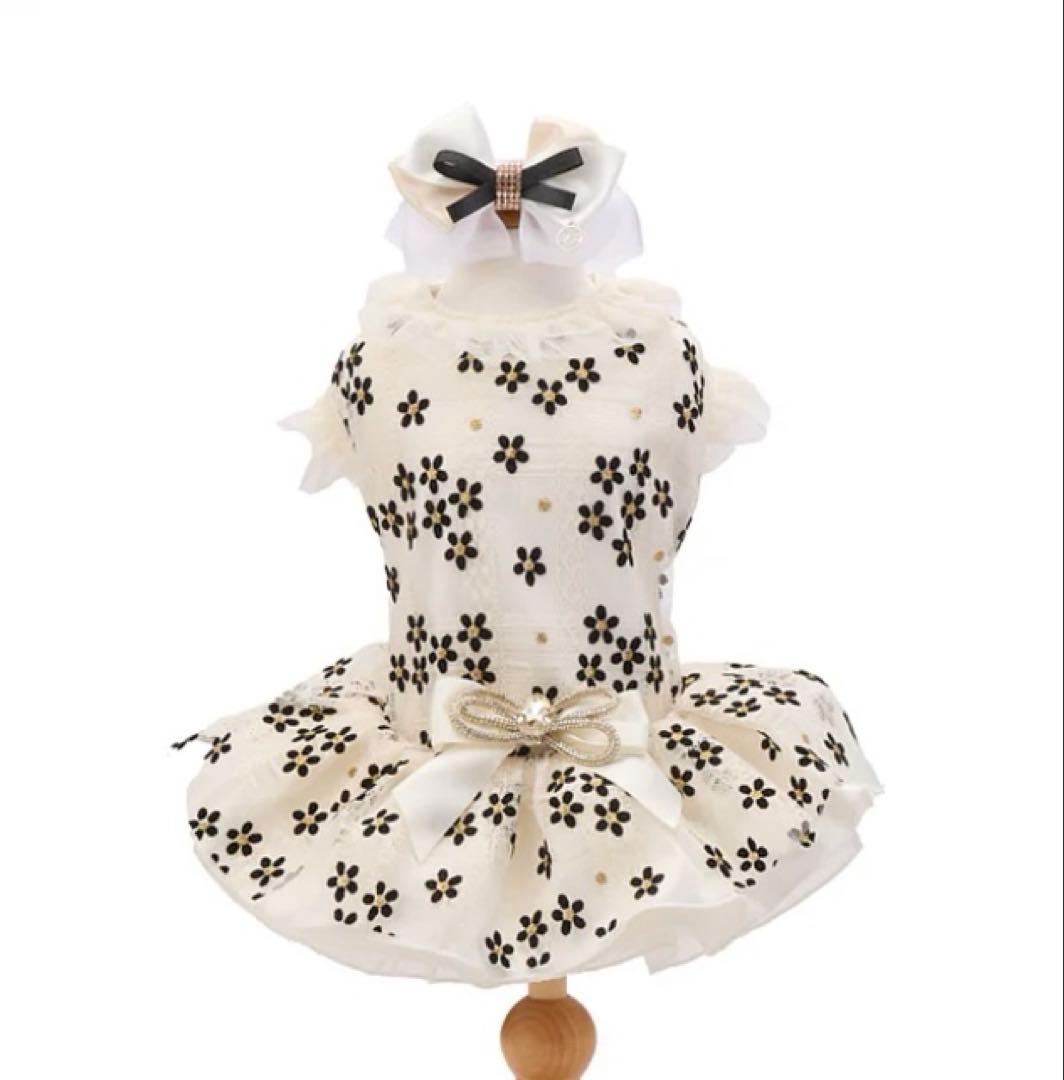 trilly tutti brilli トゥリィリトゥッティブリィリ trilly tutti brilli トゥリィリトゥッティブリィリ Trilly tutti