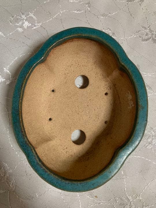 浩山 もっこ 盆栽鉢