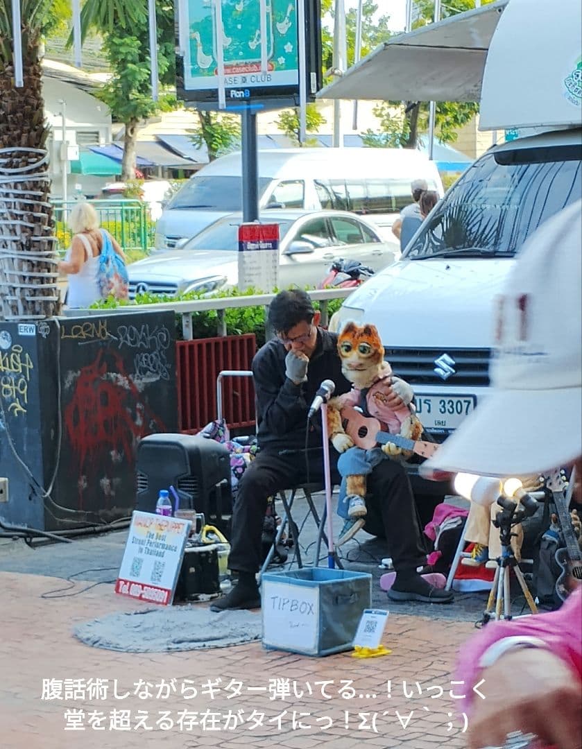 激レア！】タイのお守りプラクルアン！タイガーアイ？箱付き！幸運&金