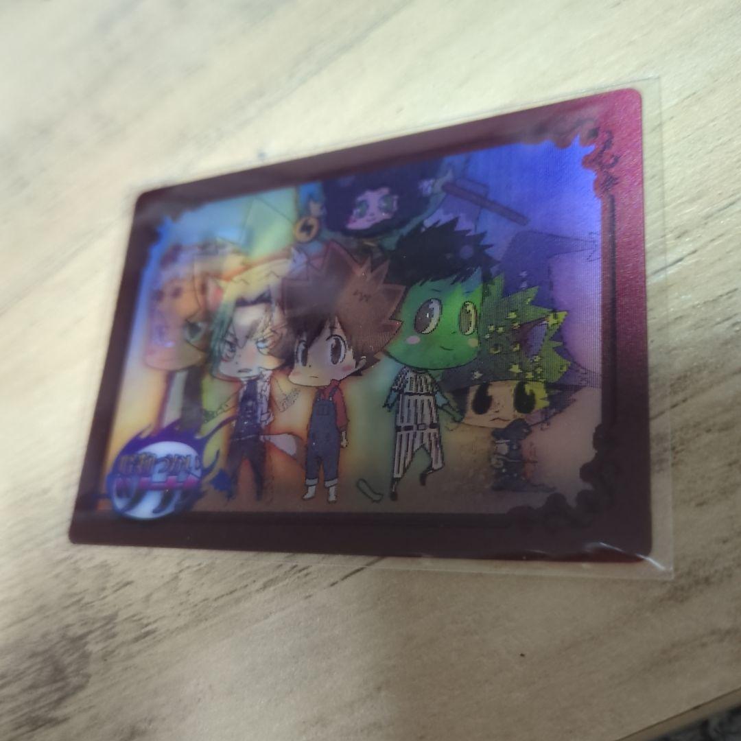 家庭教師ヒットマンREBORN! 怪物づかいツナ チェンジングカード 雲雀 骸