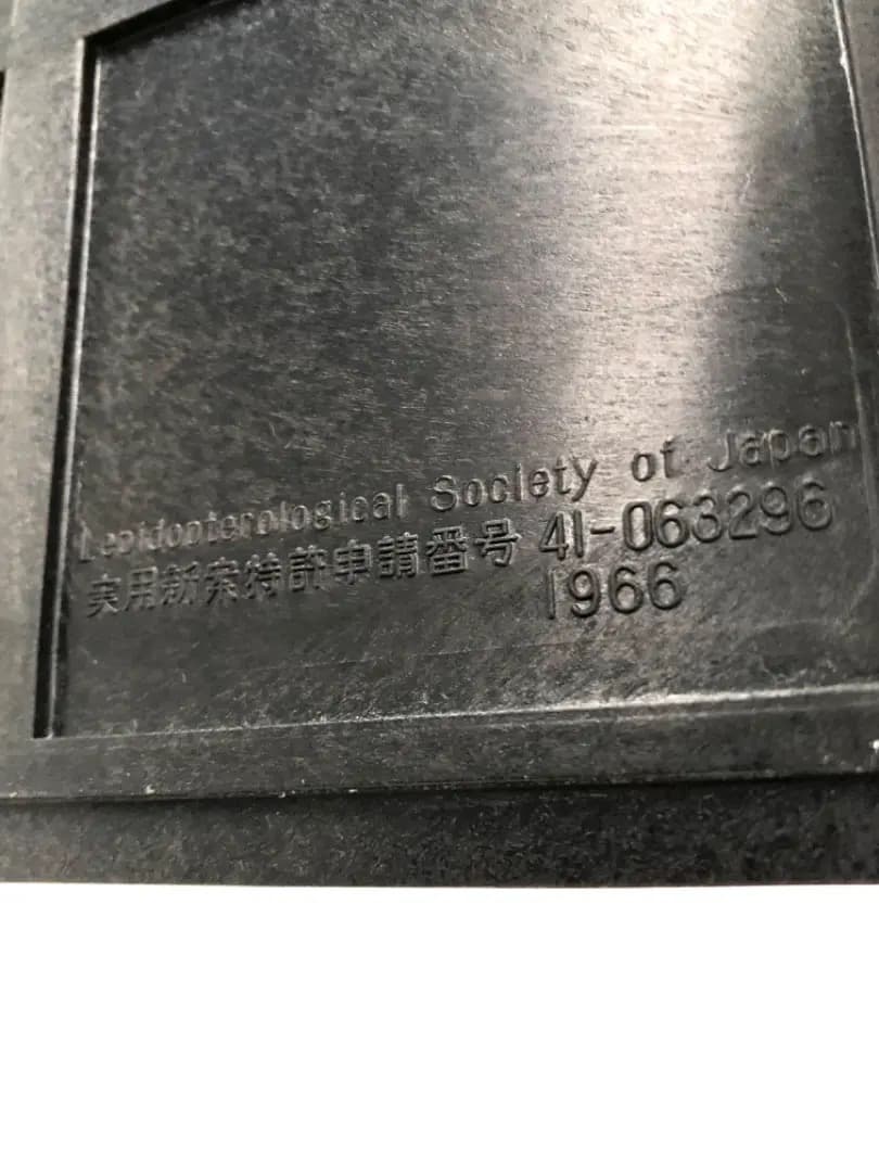 大型 ドイツ箱・昭和41年印・当時物】蝶 大型 標本 レア 貴重