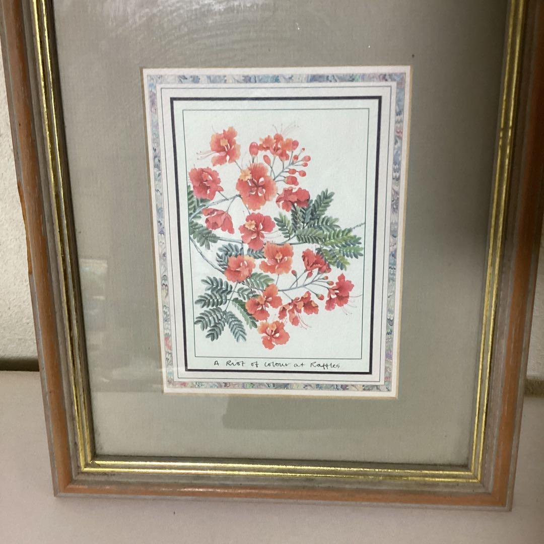 シンガポール ラッフルズホテル購入作品 【ピーコックフラワー】 額装