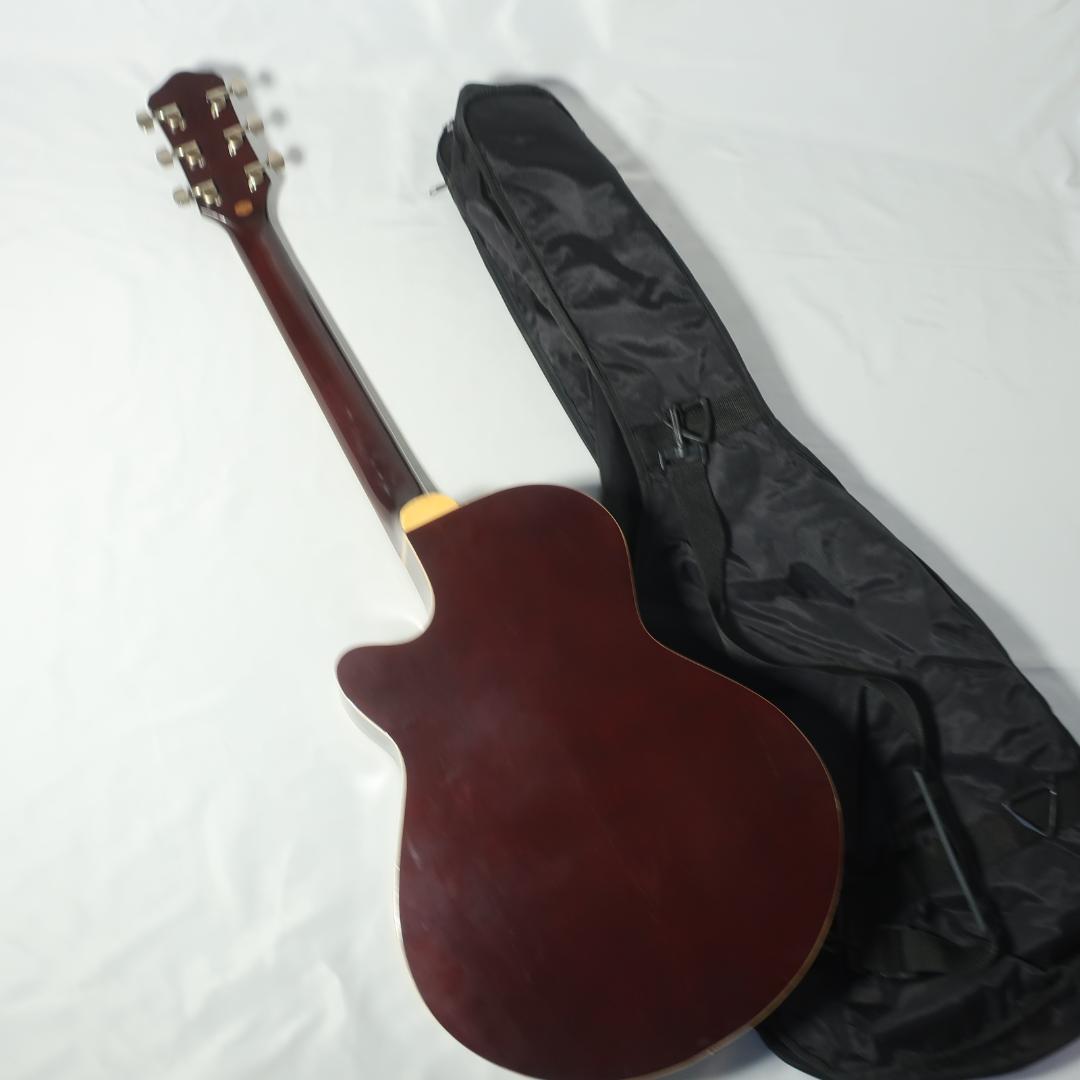 Pro Martin EAW-350 WRS エレアコ ギター ケース付 - メルカリ