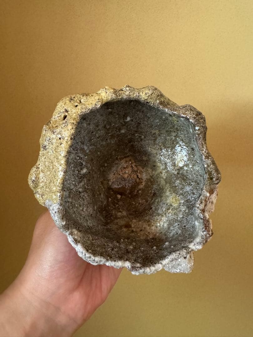 Simon Manoha 茶碗 フランス人作家