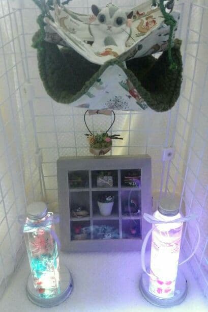 モモンガハウス(カントリー)  ボア モスグリーン  2050円 Shop Mohawk Petpremier Meow Mosaic Woodland Echo 3N93-728 Carpet