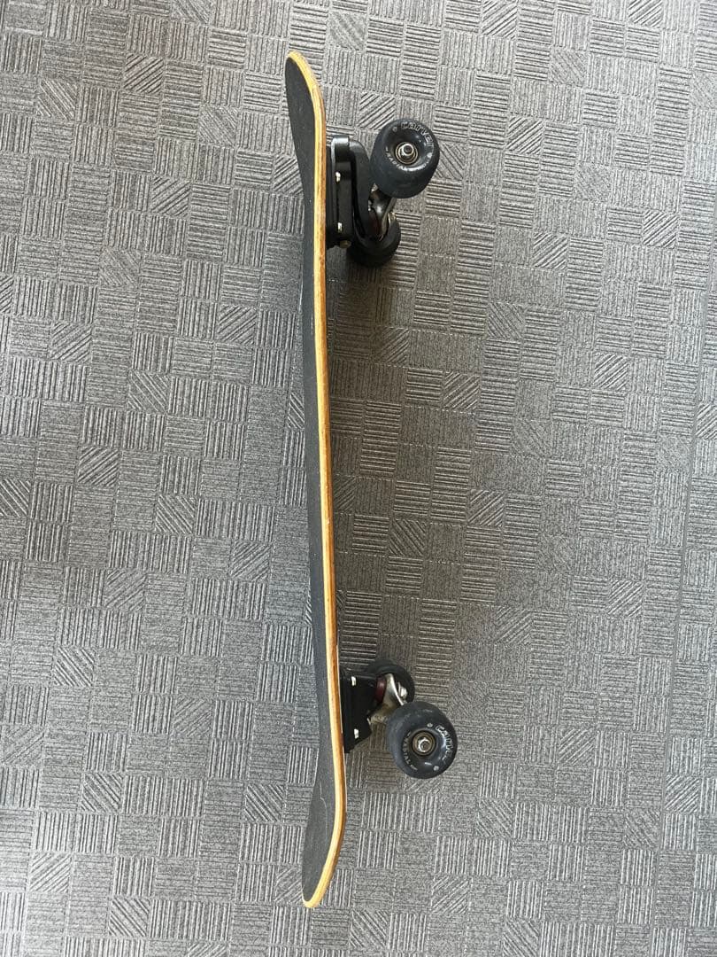 CARVER カーバー スケートボード VENICE