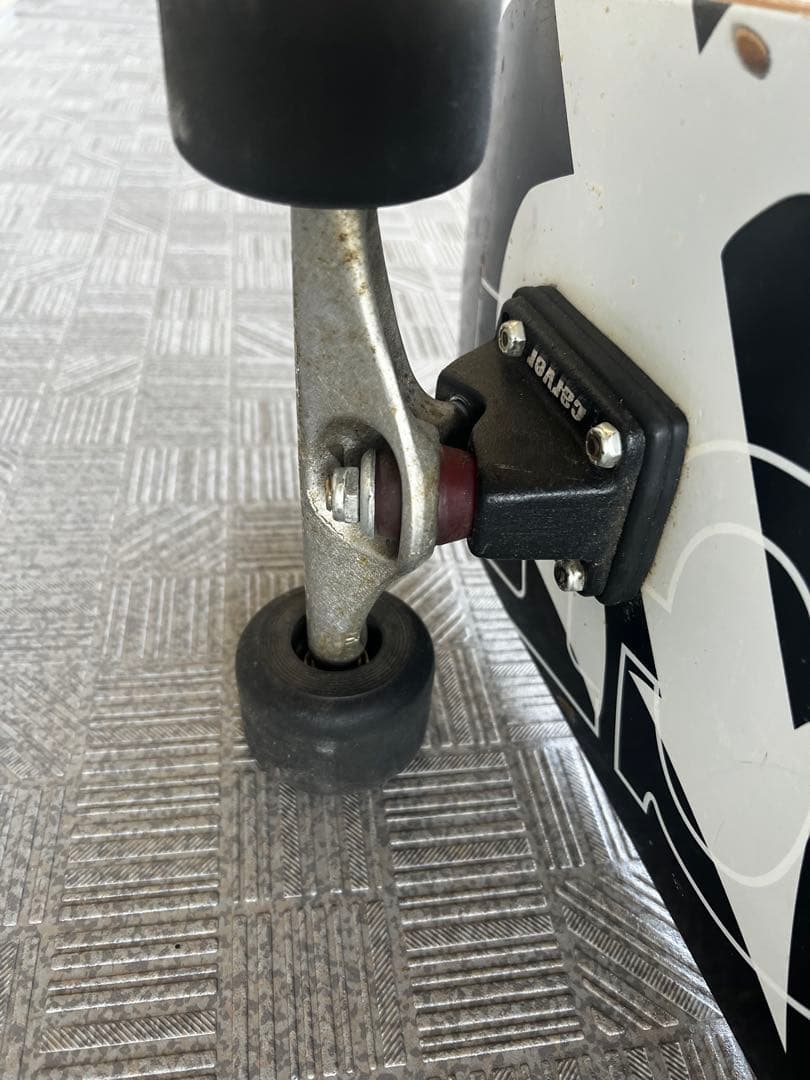 CARVER カーバー スケートボード VENICE