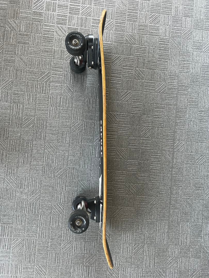 CARVER カーバー スケートボード VENICE