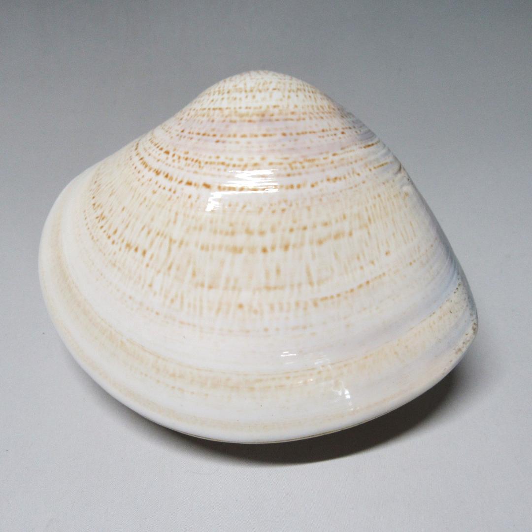 加賀蒔絵師石斎作（辻和成）「波うさぎ蛤香合」共箱 茶道具 CU-19