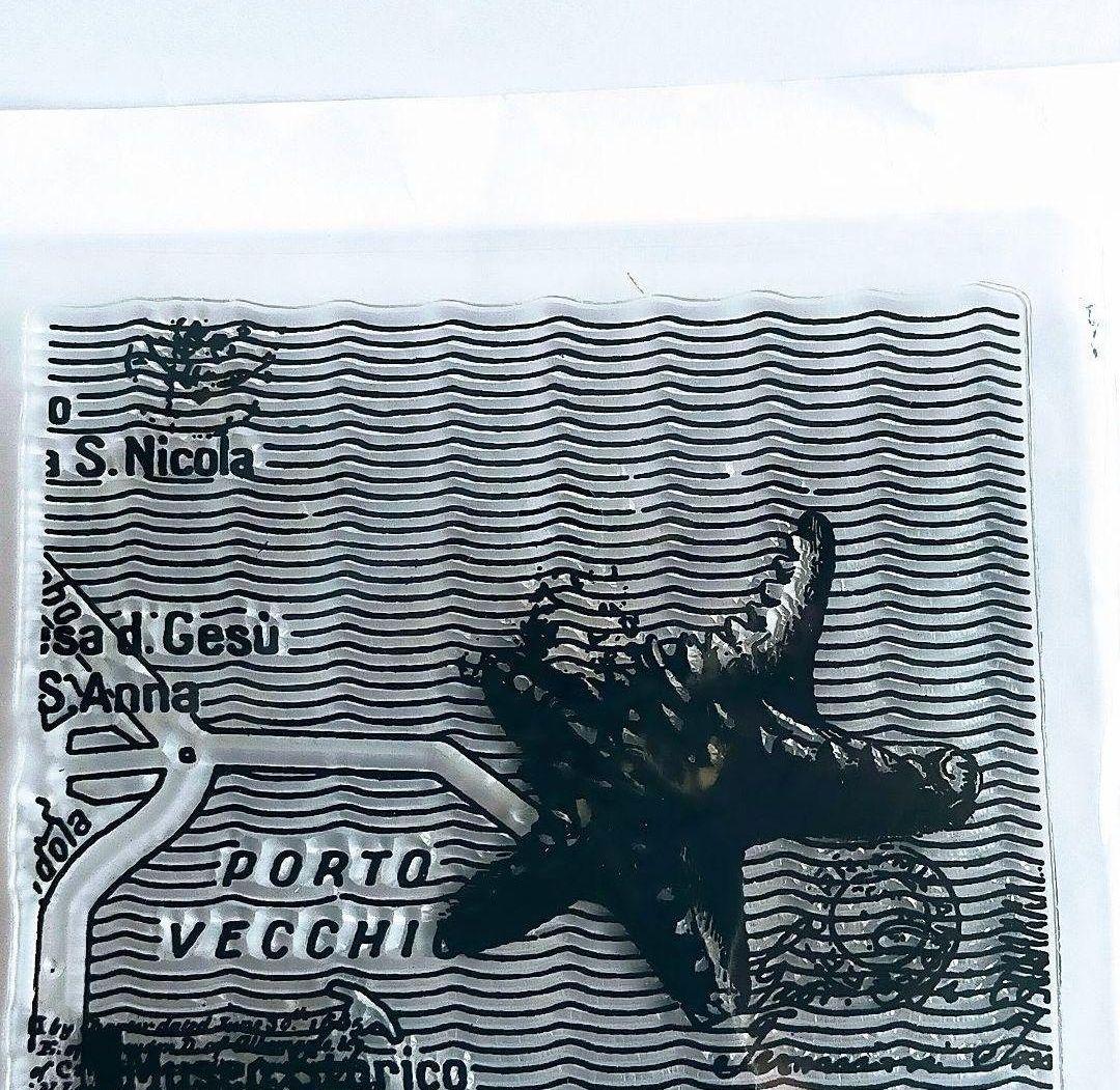 223)【海外製 】クリアスタンプ シーサイドマップ ヒトデ 貝コラージュ細長