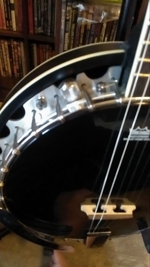 オルテガ6弦バンジョー Raven Seres OBJE 350/6 SBK