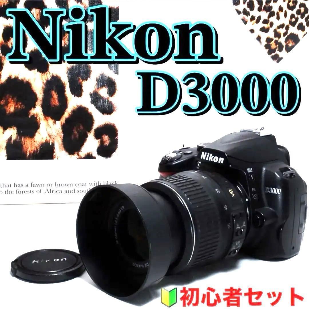 紅葉もキレイに撮れる✨ Nikon D3000 レンズキット 初心者も安心